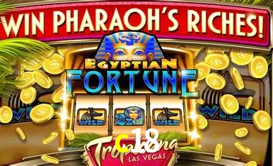 Casino VIP c18